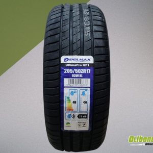 Pneu 205/50R17 Delmax Ultimapro UP1 93W